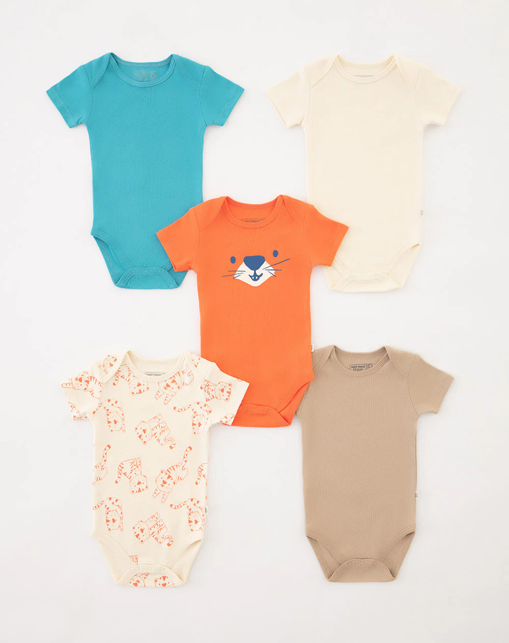 Body Cometa X5 711419 Baby Fresh
