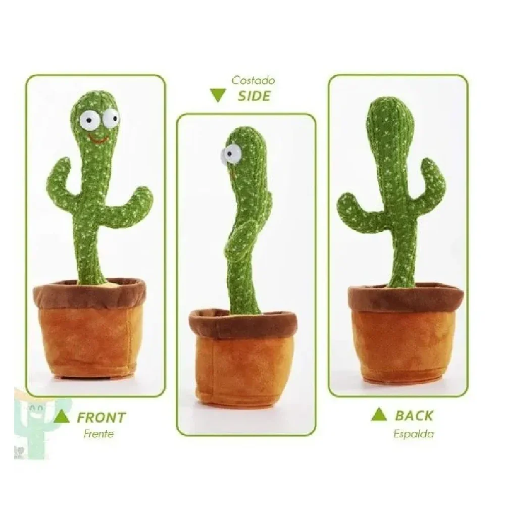 CACTUS BAILARIN 2687-6 MUNBE - Image 5